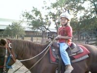 Shining Rainbow on Horse